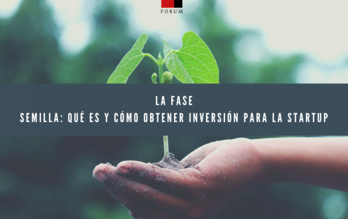 La fase semilla: qué es y cómo obtener inversión para la startup